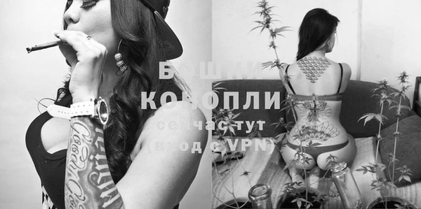 гашик Баксан