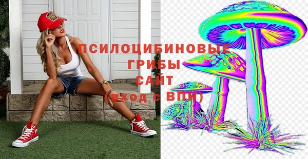 гашик Баксан