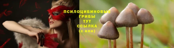 COCAINE Балахна