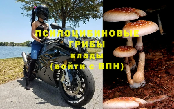 хмурый Балабаново