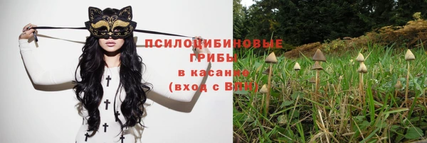гашик Баксан