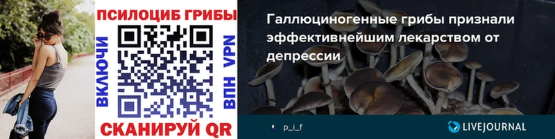Галлюциногенные грибы MAGIC MUSHROOMS  нарко площадка состав  Разумное  мега ТОР 